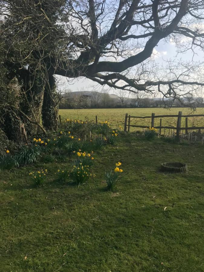 The Old Flower Field Hurstpierpoint Exterior foto